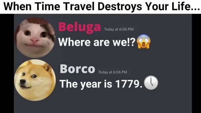 My Best Beluga Videos 🔥