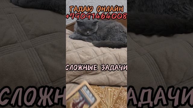 18 декабря Карта дня,Гадаю онлайн,магия в помощь.#18декабрякартадня #галаюонлайн #магиявпоощь #