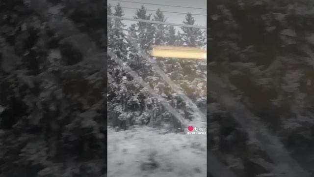 Like_7440939844040411914.mp4