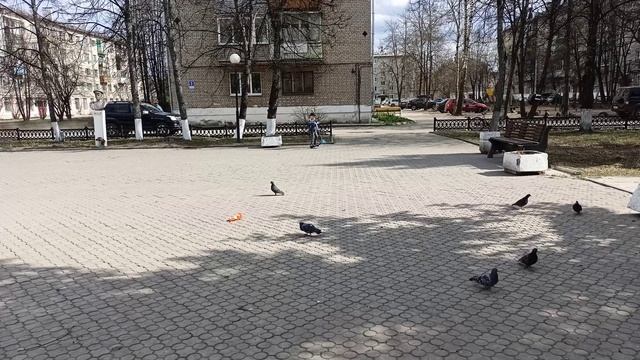 Прогулка Тимы на самокате по аллее