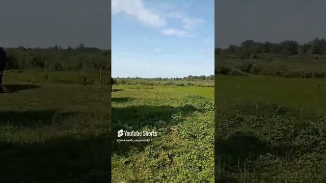 Она прошла как каравелла по зелёным волнам)