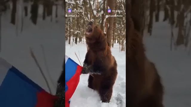 1000009662.mp4