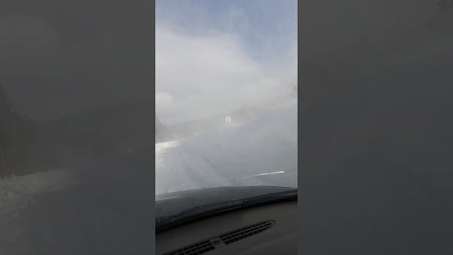 яворова поляна