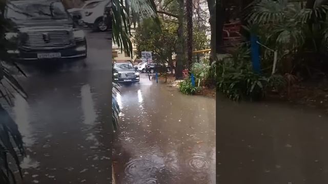 В Сочи зарядили ливни!
#курортыдляжизни
#сочи
#погода
#дождь
#сегодня
#зима