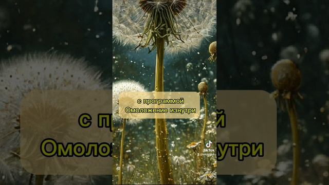 Как быть Молодым