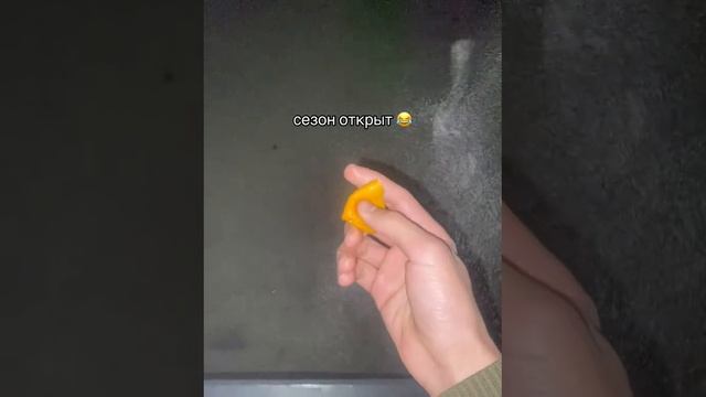 мандаришка