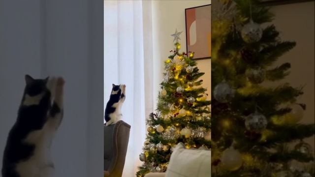 1000013051.mp4