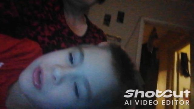 shotcut-20241211-211149.mp4