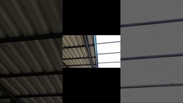 scene_output.mp4