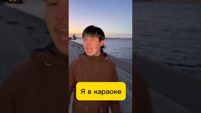 Почему мы редко ходим в караоке? #shorts