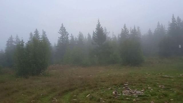 Таганаюшка