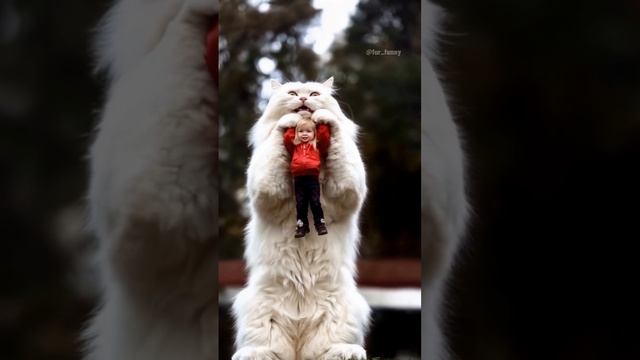 Гигантский кот с девочкой.