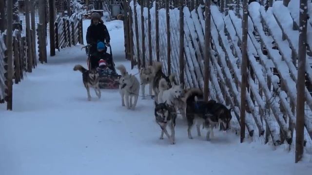 Santa Claus Village 🎅🎄🦌 in Rovaniemi Lapland Finland before Christmas Arctic Circle