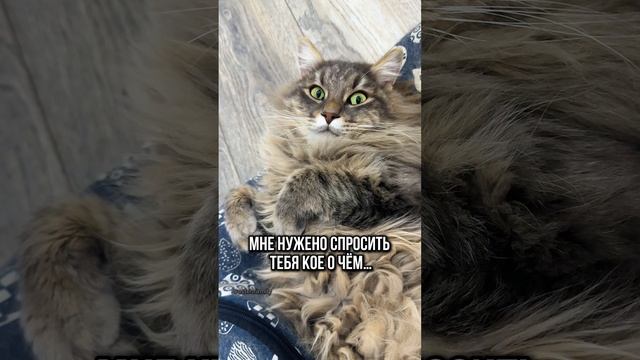 Давай дружить😻
