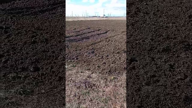 1001017722.mp4
