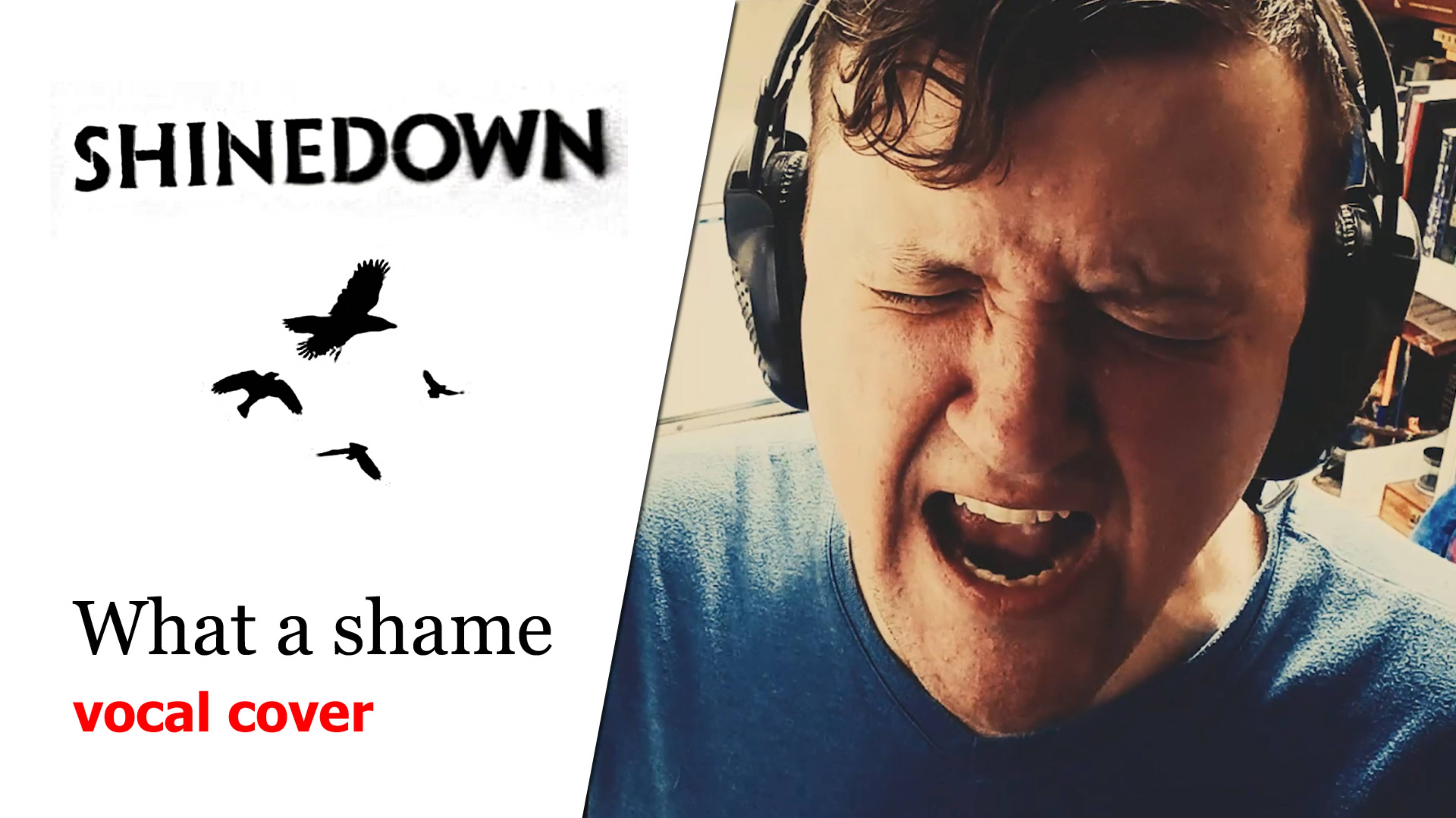 ХАоС - What a shame (Shinedown vocal cover)