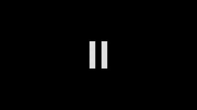 Hitman Pro