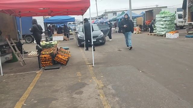 Затарились, поездка по магазинам за продуктами.