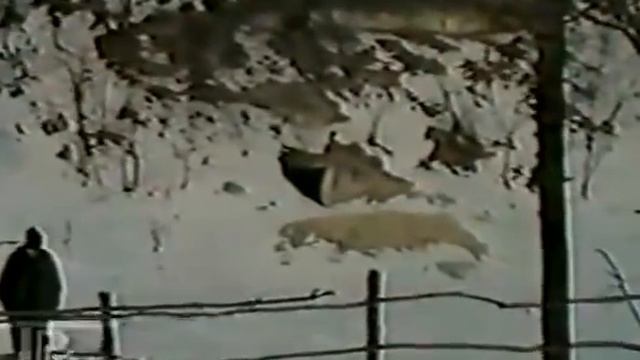 Батюшка Ипполит. репортаж -ТВ (1996г.)