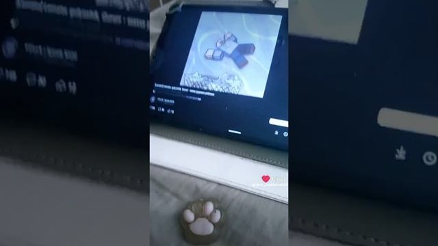 Котики
