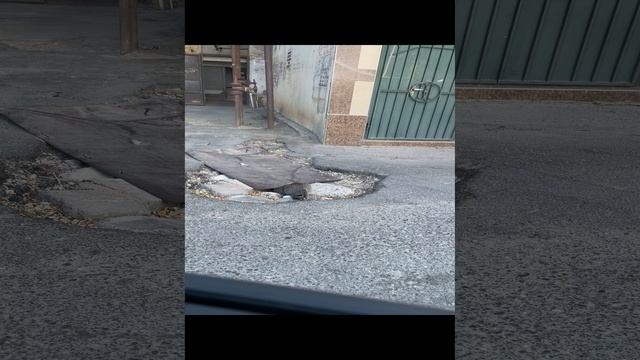 Куда убежала