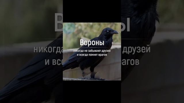 Неожиданно