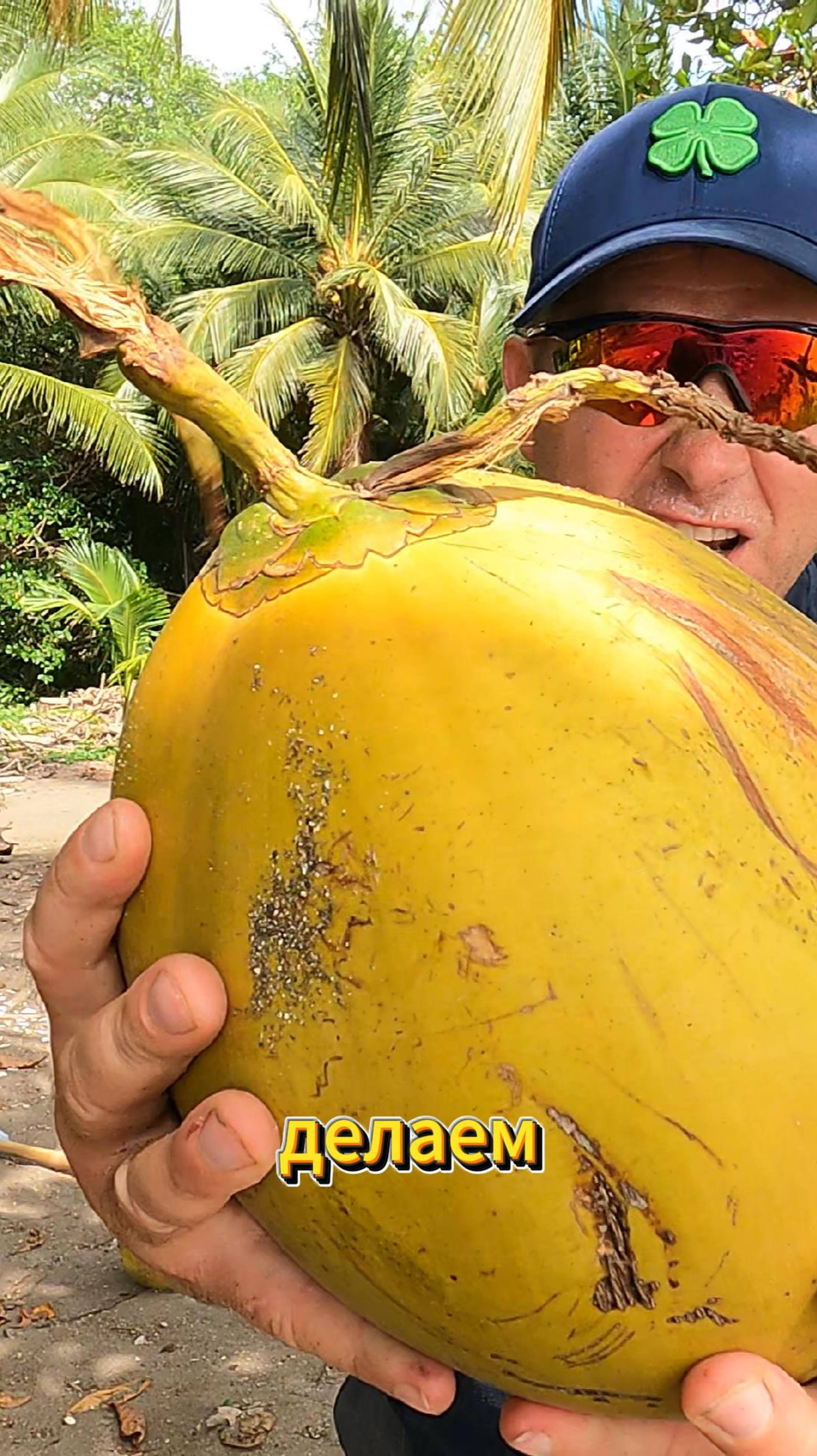 Багажник кокосов, что делаем?