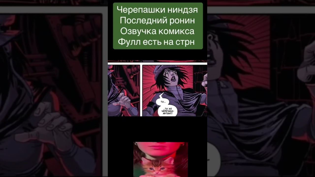 #tmnt #lastronin #черепашкининдзя2003 #черепашкининдзялегенды