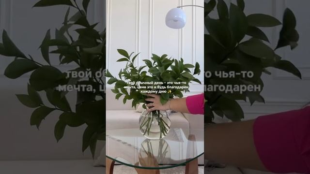 Будь благодарен каждому дню