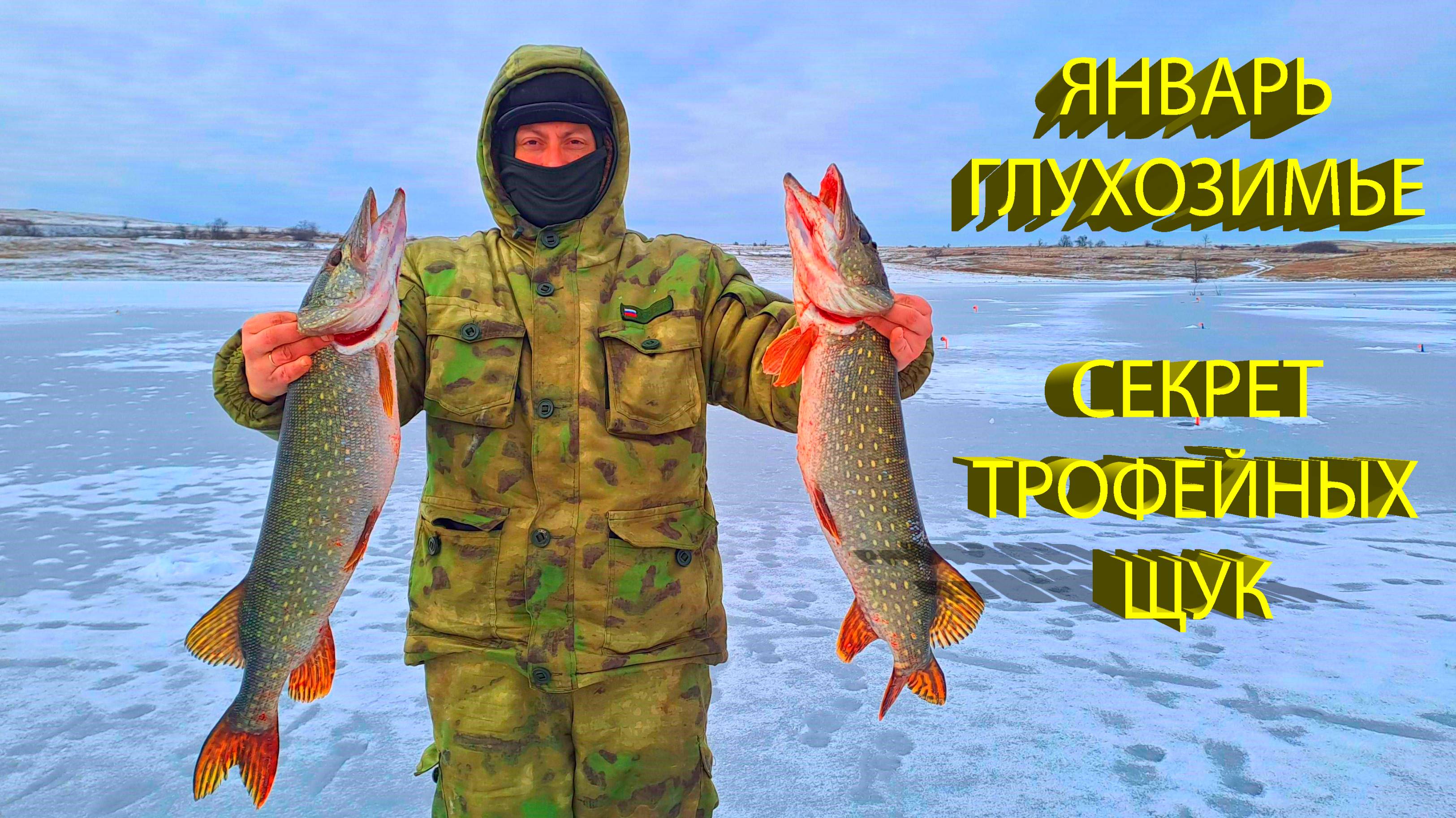 🔥 Наловил ТРОФЕЙНЫХ ЩУК - в чем секрет? Ловля ОСТОРОЖНОЙ щуки на ЖЕРЛИЦЫ с деликатной оснасткой 🔥