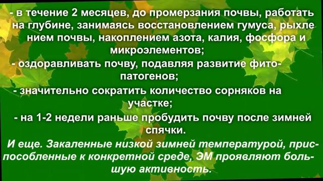 Эм осень