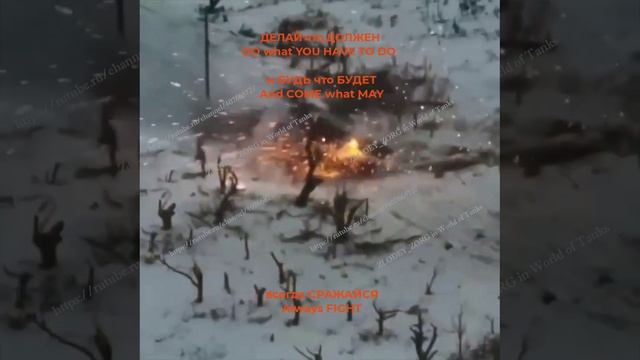НЕ ОТСТУПАТЬ и НЕ СДАВАТЬСЯ