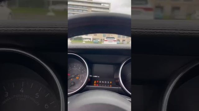 1000203058.mp4