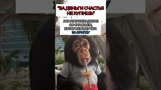 Счастье за деньги не купишь!