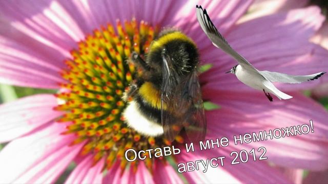 Измазюкались