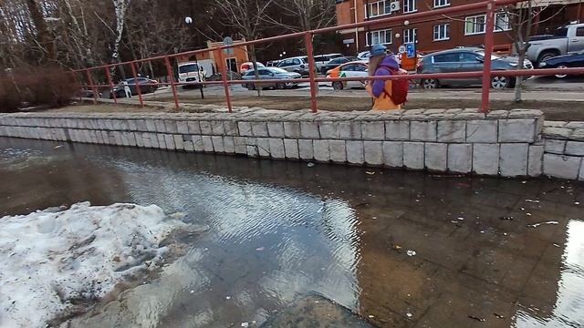 уточки
