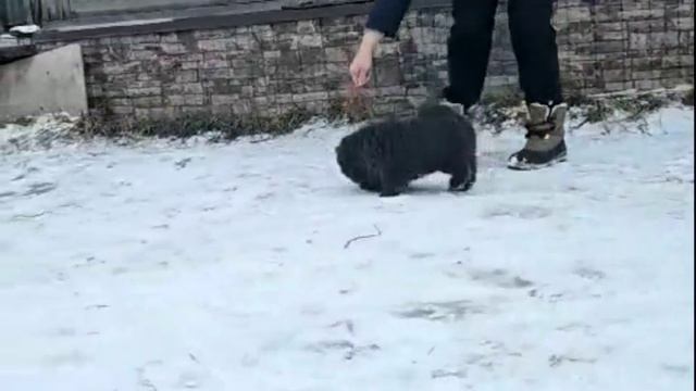 WhatsApp Video 2024-12-12 at 23.48.40
