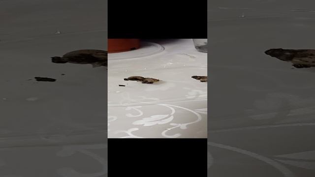 1000005975.mp4 Екатерина