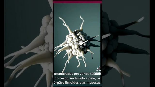 A Célula Dendrítica! #céluladendrítica #imunologia #imunidadeinata