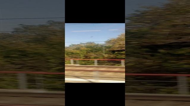 1000000453.mp4
