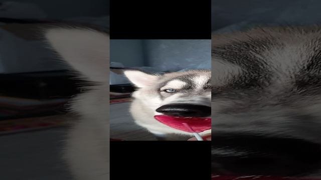 1000161884.mp4