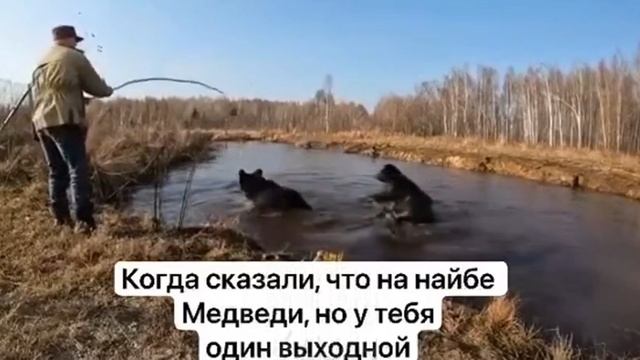 ЛОВИМ РЫБУ С МЕДВЕДЕМ