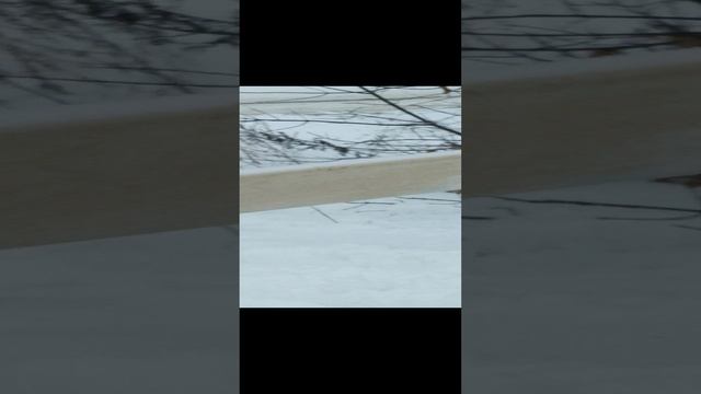 VID_20241217_121134.mp4