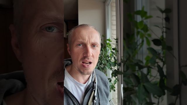 Повторяющийся дизайн iPhone