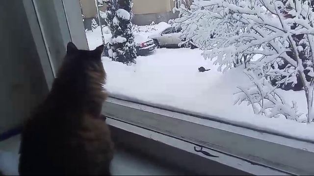 1000011633.mp4