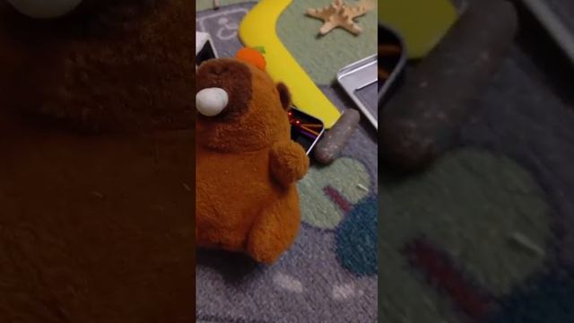 насекомые