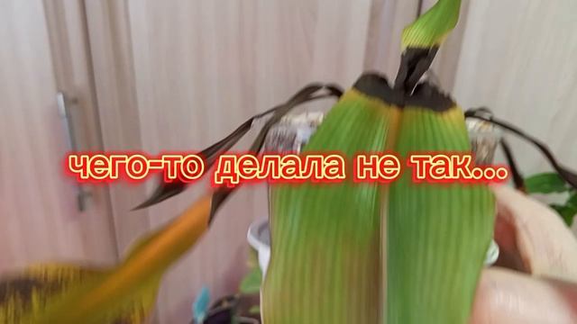 Мои зелёные новости 🪴🤗