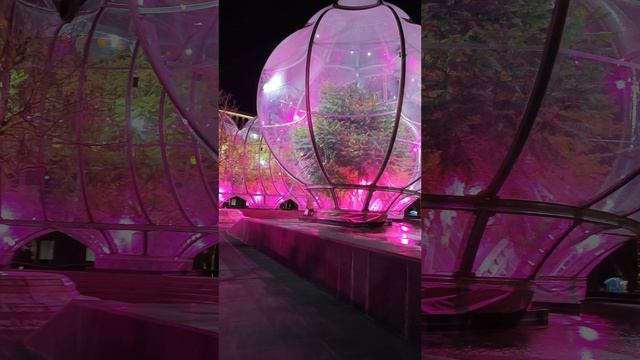 Новогодние шары теплицы на деревьях водопада Инфинити в парке Краснодар