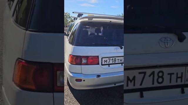 Toyota Ipsum