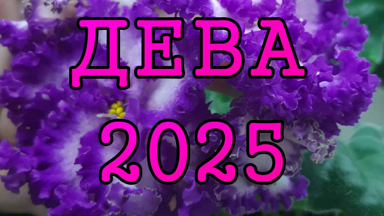 ДЕВА таро прогноз на 2025 год по 12 домам гороскопа.